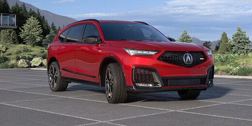 MDX model shown