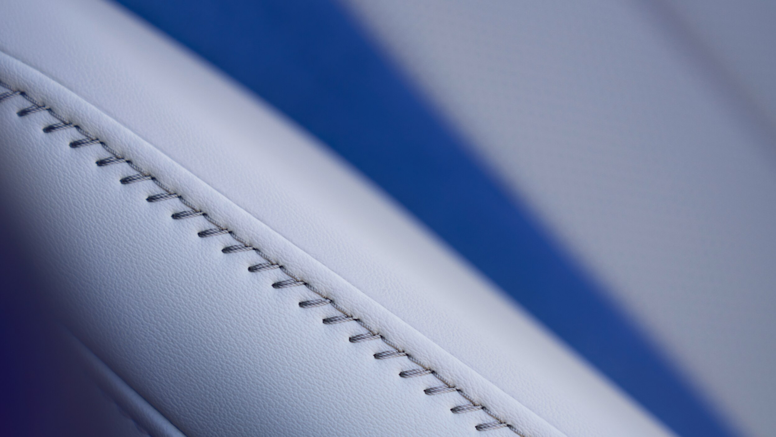 Close-up of orchid interior