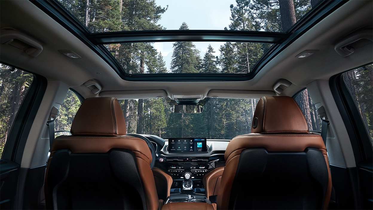 A view from the back seat of an MDX. We see tall trees through the windshield and Panoramic Moonroof.