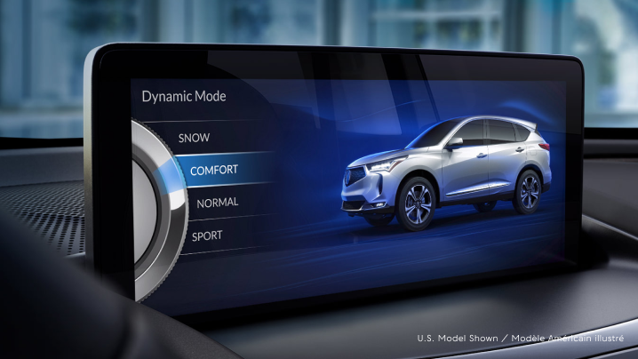 View of console display of Integrated Dynamics System main menu page. 