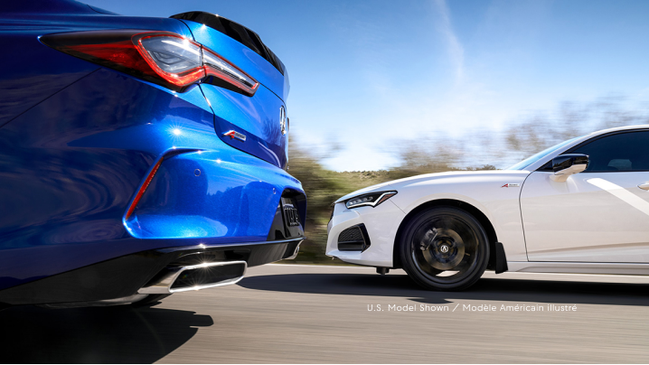 A blue TLX and a white TLX driving closely together on a country road.